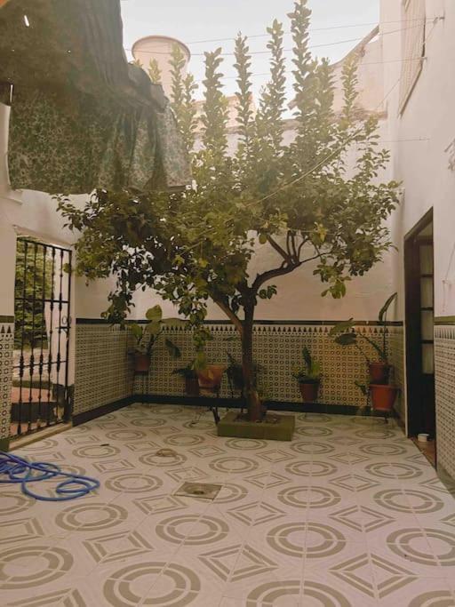 Villa La Casa De Manolita Baena Exterior foto